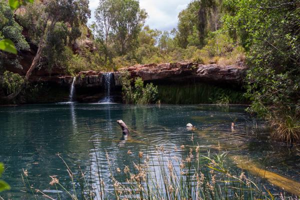 Shire Of Ashburton, Australia