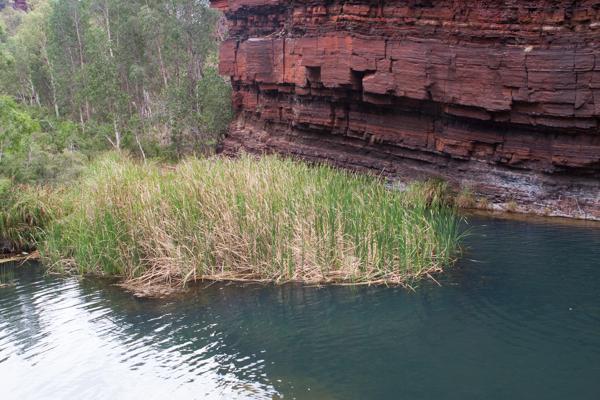 Shire Of Ashburton, Australia