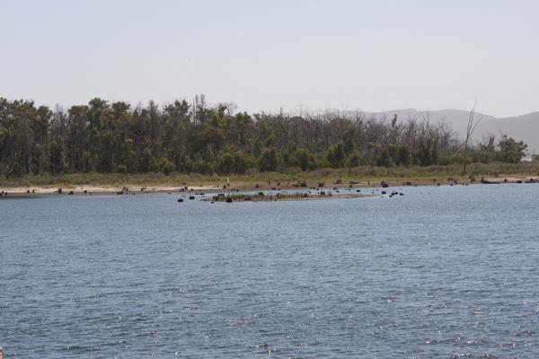 Shire of Northern Grampians, Australia