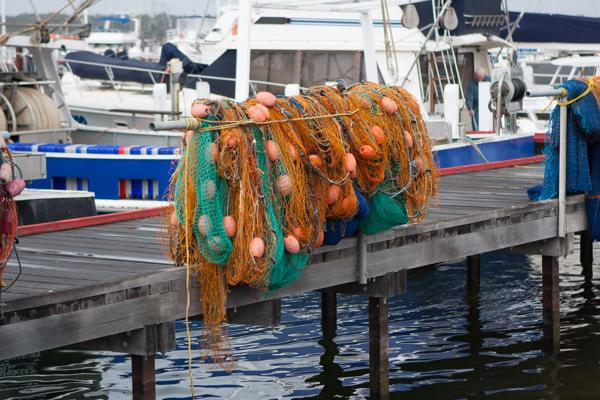 Shire of East Gippsland, Australia