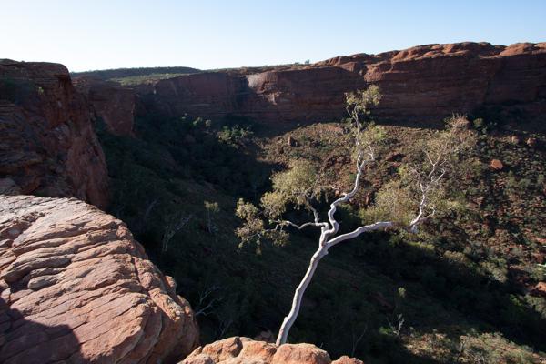 Macdonnell Region, Australia