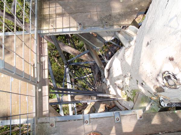 Shire Of Manjimup, Australia