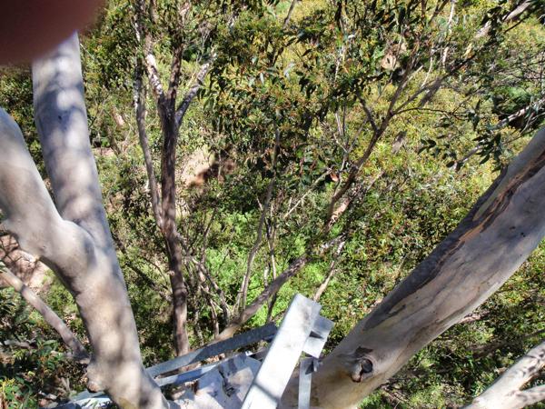 Shire Of Manjimup, Australia