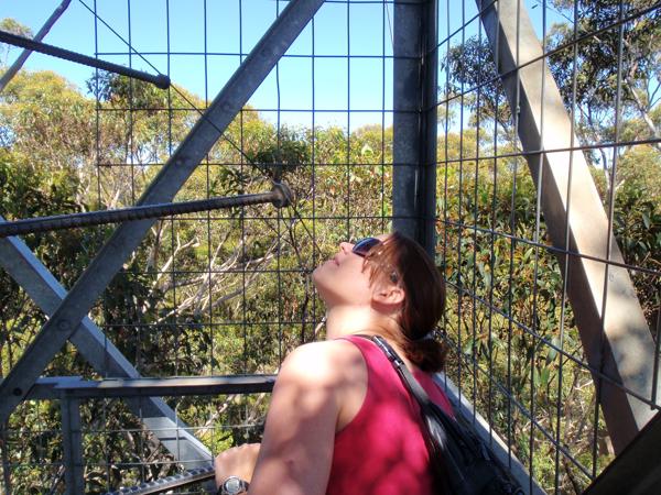 Shire Of Manjimup, Australia