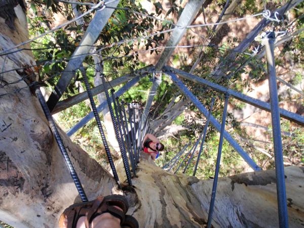 Shire Of Manjimup, Australia