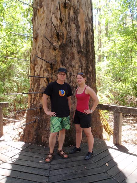 Shire Of Manjimup, Australia