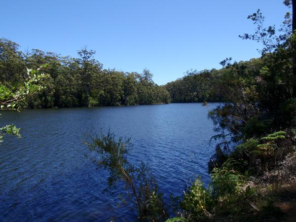 Shire Of Manjimup, Australia
