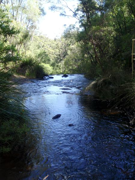 Shire Of Manjimup, Australia