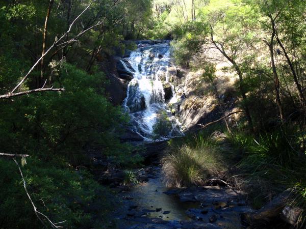 Shire Of Manjimup, Australia