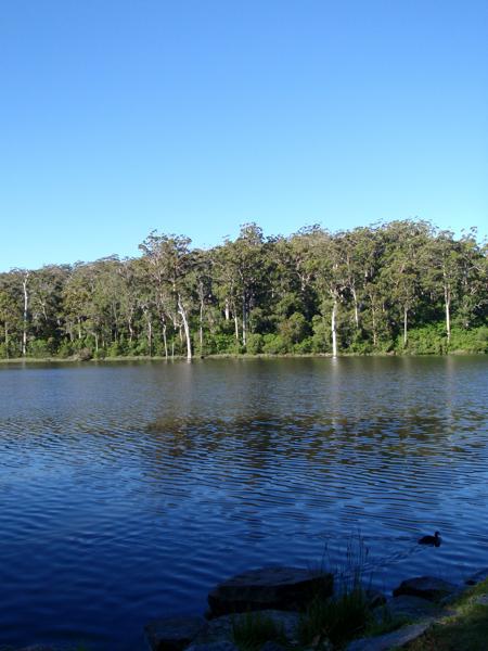 Shire Of Manjimup, Australia