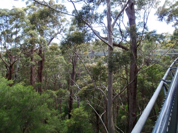 Shire Of Denmark, Australia