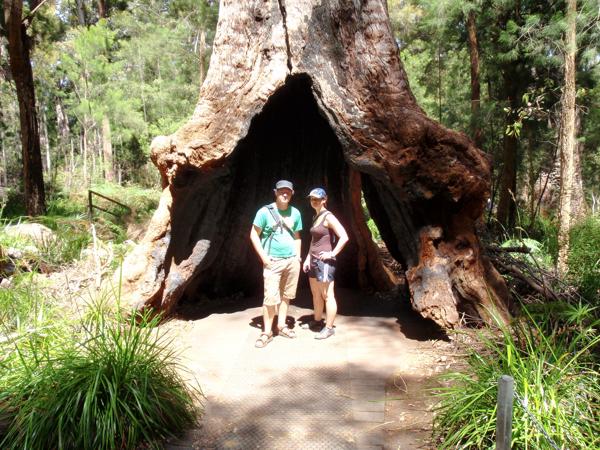 Shire Of Denmark, Australia