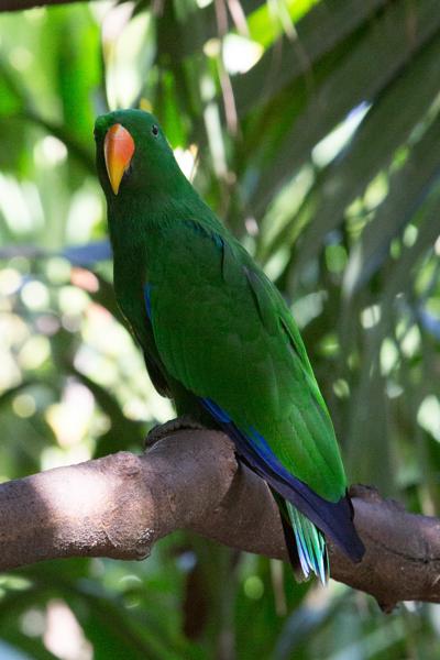 Sunshine Coast Regional, Australia