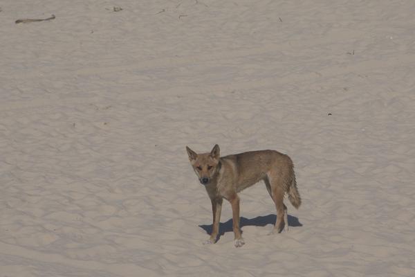 Fraser Coast Regional, Australia